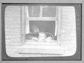 Tenement Child with blank wall to stare at/ NYC