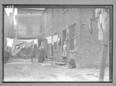 Tenement House and Yard Chicago