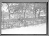 Man Sleeping on Park Bench Sitting Up