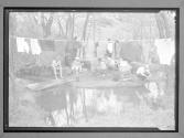 FERA NY state 'The Jungle' Camp Green Haven