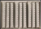 [Photomicrograph of rulers]