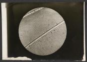 [Photomicrograph]