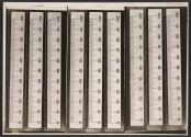 [Photomicrograph of rulers]