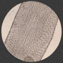 [Photomicrograph]
