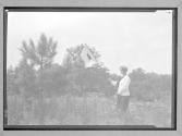 [Woman with signal flag in field]