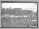 [Soldiers Exercise]