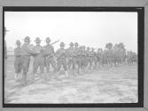 [Soldiers Training]