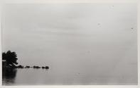 [Birds flying over lake, Japan]