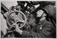 Artillery Commander K.M. Karabanov Protecting the Harvest