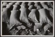 Our daily bread: Bags of grain