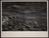 Ghost town, Hamilton, Nevada