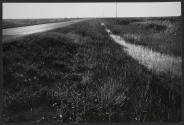 Marshes along the highway, Florida