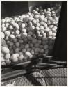 [Duck eggs]