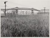 Untitled (from the Meadowland series)