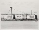 Untitled (from the Meadowland series)
