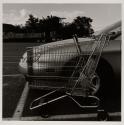 Athens, New York (shopping cart)