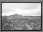 The Butte de Warlencourt...