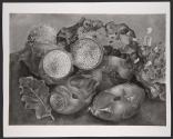 [Frida Kahlo's painting Pitahayas (1938)]