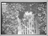 Girl at Gate