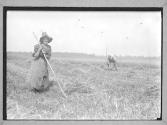 15 Years Norman Girl Raking Grain