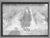 Near Bordeaux Vineyard Child