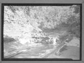 Stony Brook, NY/