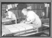 Edge Gilders Colliers Press