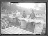 Gardening- washing Hot House frames