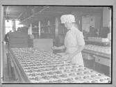 Under Good Condition/NYC/Packing Candy in Hayles