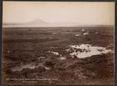 Tokaanu, Lake Taupo, from Munganamo, King Country