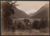 Bealey River, North Branch, West Coast Road