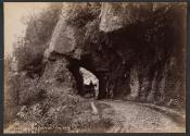 Buller Gorge, the Cave