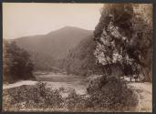 Buller Gorge, near Berlin's