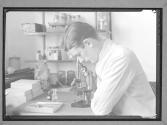 [Lab Tech. with Microscope]