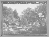 Jerusalem Un Coin Jardin des Oliviers