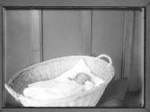 [Baby in a Basket]
