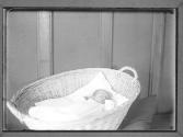 [Baby in a Basket]