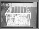 [Baby in Crib]