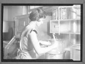 [Woman Cooking]