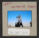 [Peggy Muray riding an ostrich, Oudtshoorn, South Africa (travel slide)]