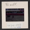 [Bullfight (travel slide)]
