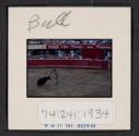 [Bullfight (travel slide)]