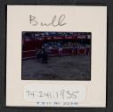 [Bullfight (travel slide)]