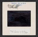 [Bullfight (travel slide)]