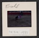 [Bullfight (travel slide)]
