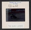 [Bullfight (travel slide)]