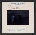 [Bullfight (travel slide)]