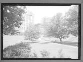 [Building Near Park]