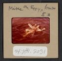 [Mimi Muray swimming (travel slide)]