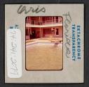 [Nicholas Christopher Muray diving into a pool, Florida (travel slide)]